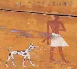 Animali nell'Arte Egizia