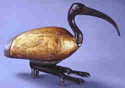 Arte egizia - Ibis Uccello sacro