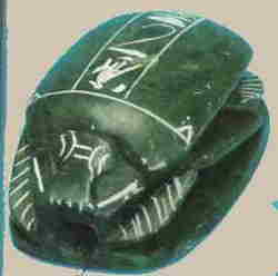 Animali nell'Arte Egizia - lo scarabeo