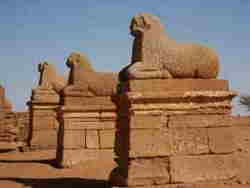 Statue di Arieti - Deserto Nubia