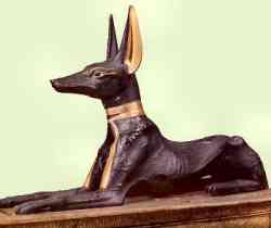 Anubi - Cane dei Faraoni