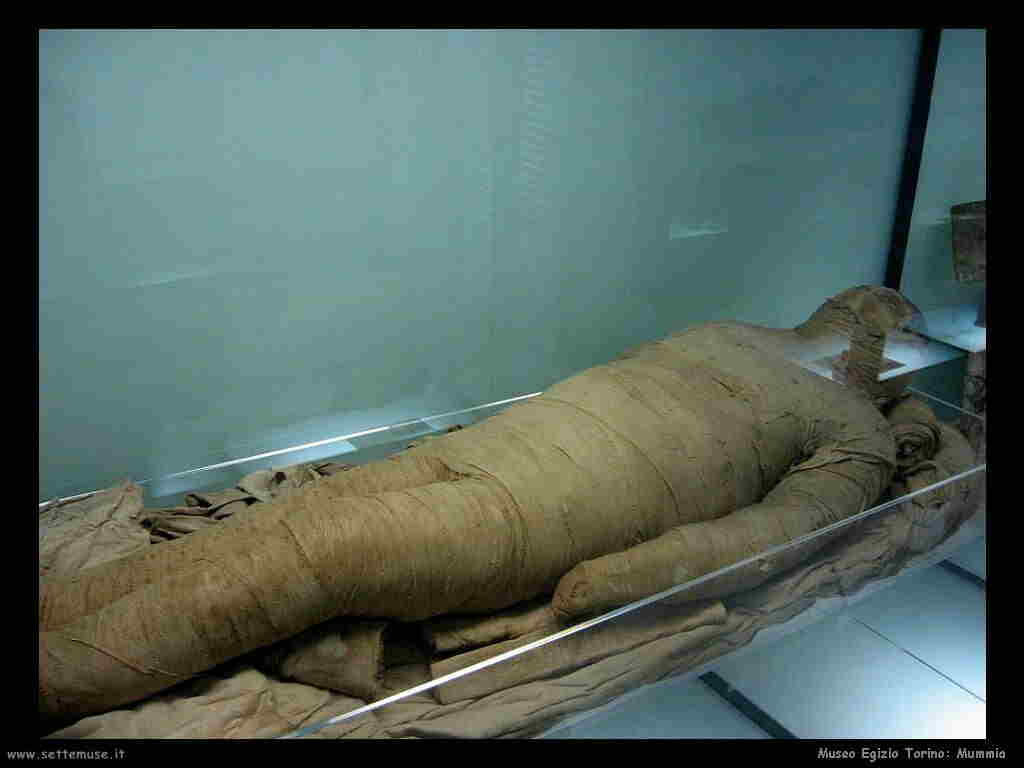 museo_egizio_torino_011_mummia