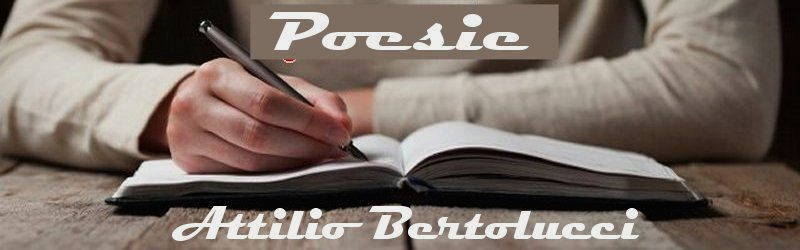 poesie e poeti italiani e straieri Attilio Bertolucci