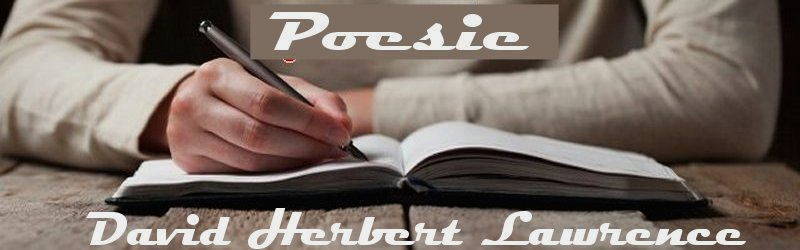 poesie e poeti italiani e stranieri poesia David Herbert Lawrence
