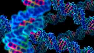 forme di vita DNA
