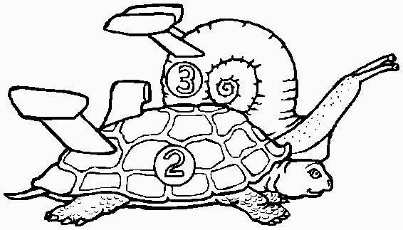 corsa tartaruga lumaca