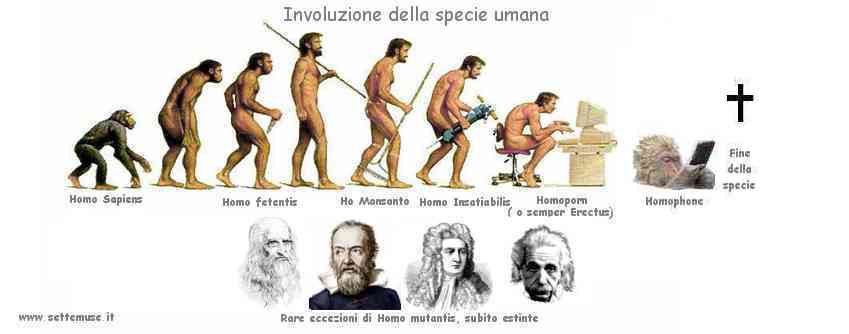 homo-evolution