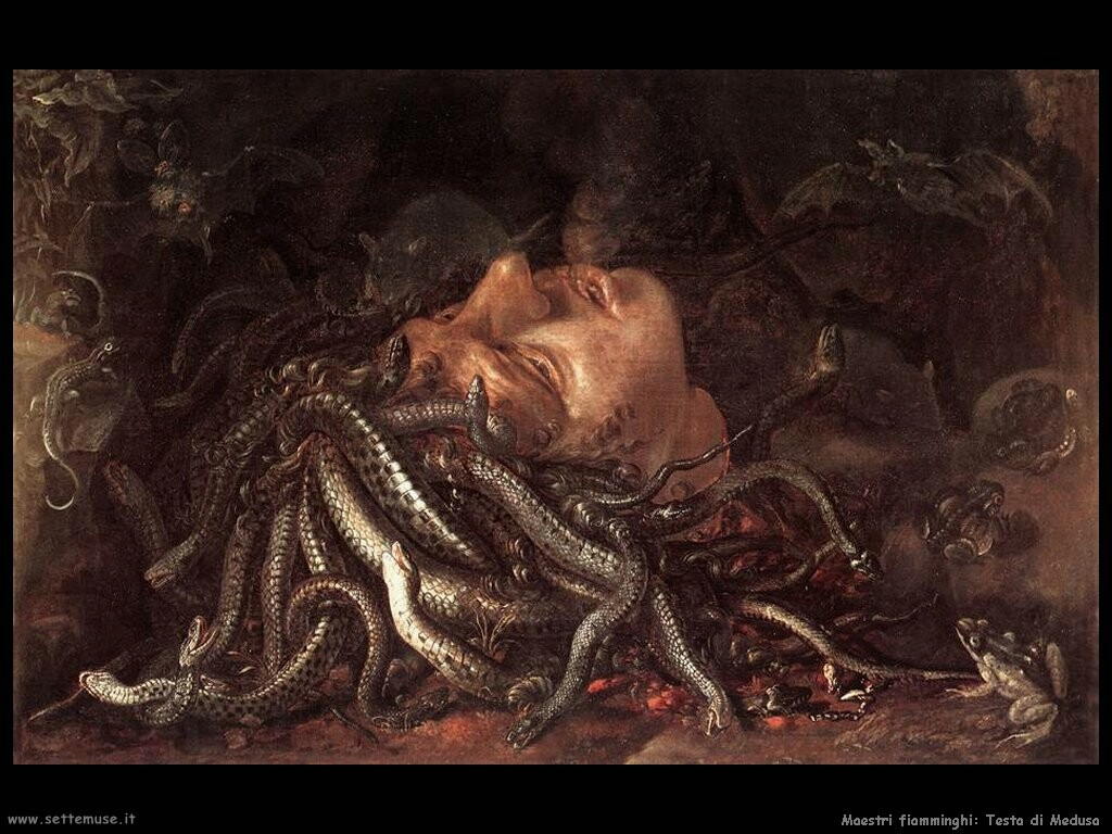 fiamminghi_Testa di Medusa