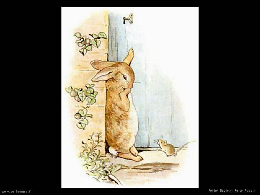 Potter Beatrix Peter Rabbit