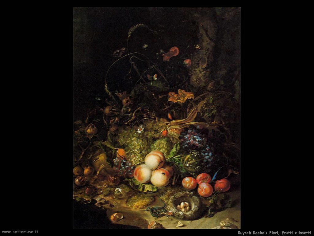 Ruysch Rachel Fiori, Frutta e insetti