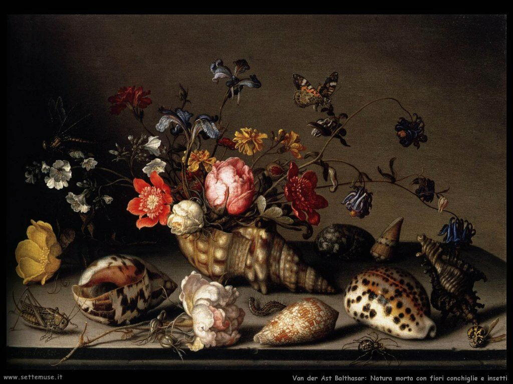 Natura Morta di fiori con conchiglie e insetti Van Der Ast Balthasar 