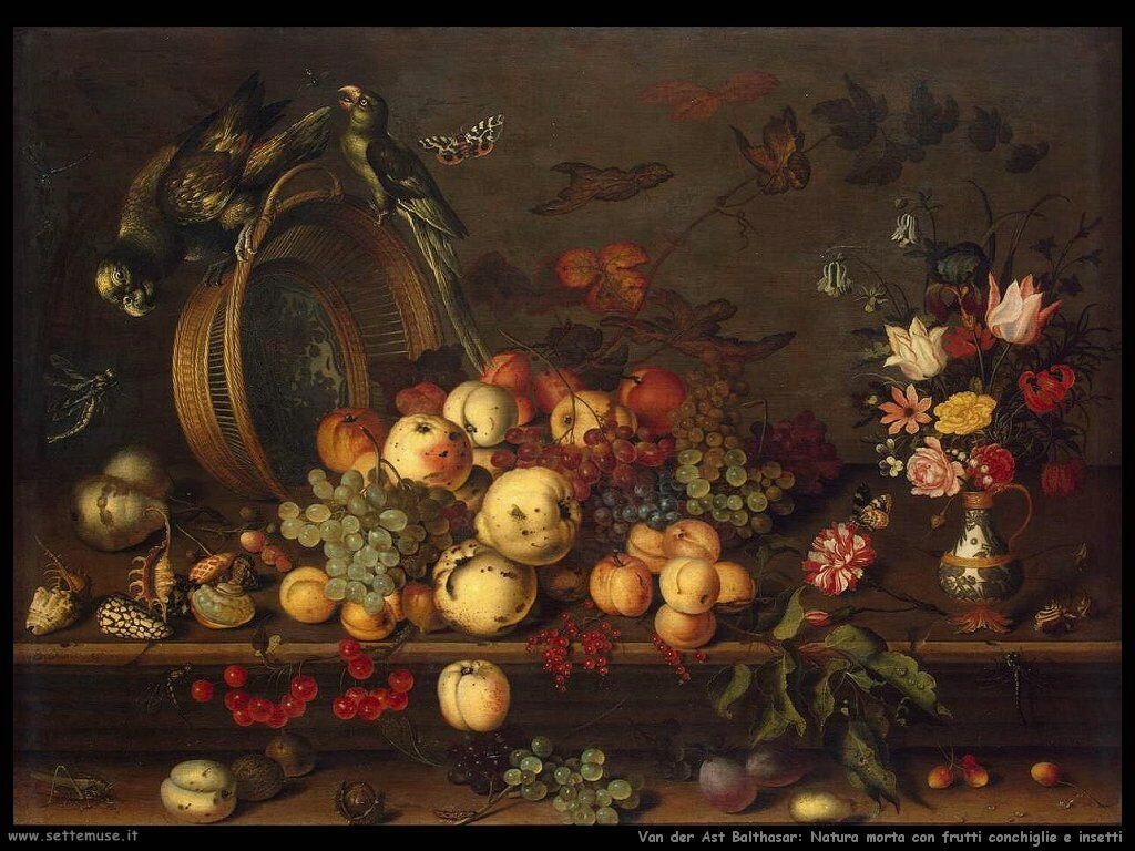 Natura Morta con frutta, conchiglie ed insetti Van Der Ast Balthasar 