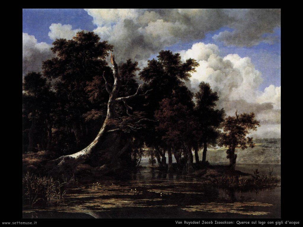 Querce sul lago con ninfee Van Ruysdael Jacob Isaackszon 