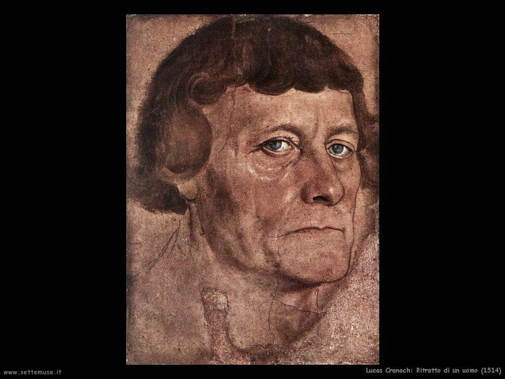 lucas cranach ritratto di un uomo 1514