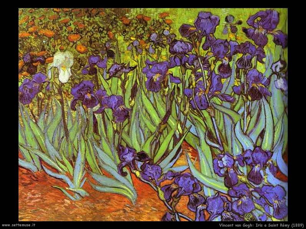 Vincent van Gogh_iris_a_saint_rémy_1889