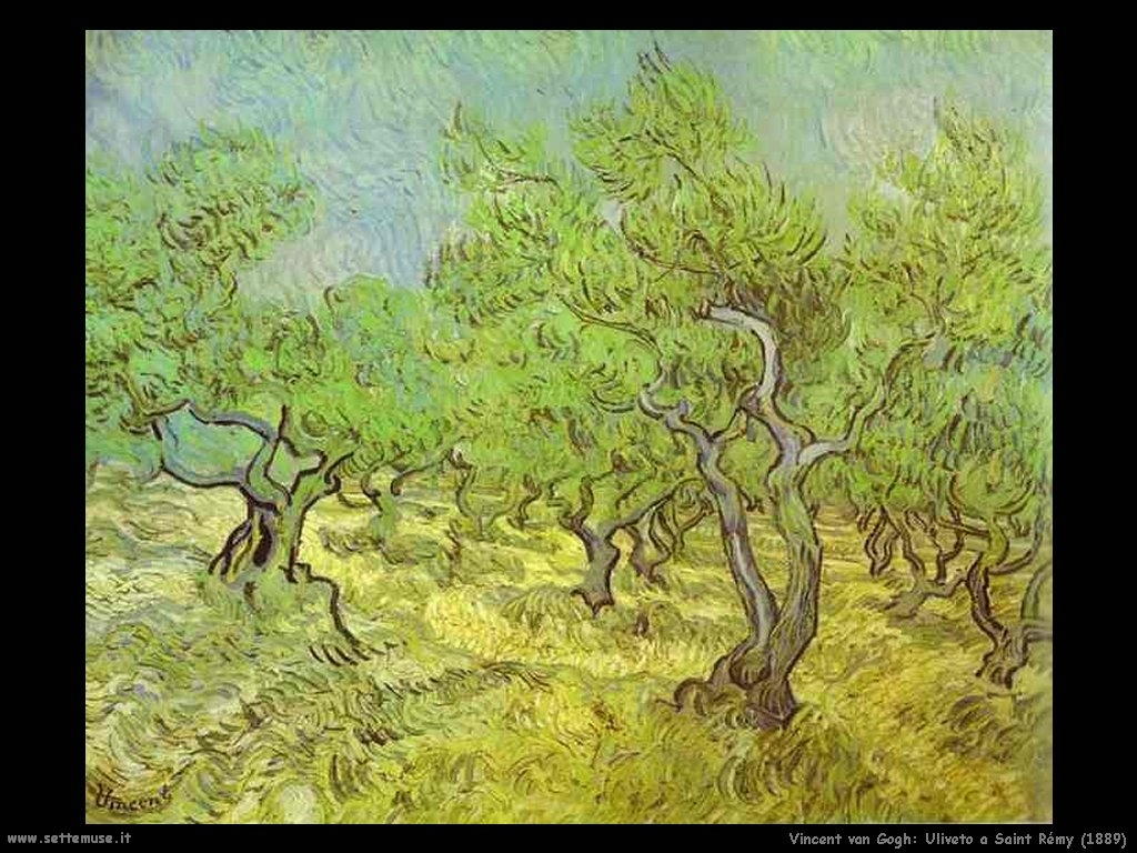 Vincent van Gogh_uliveto_saint_rémy_1889