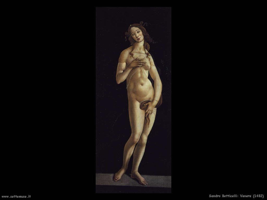Venere (1482)