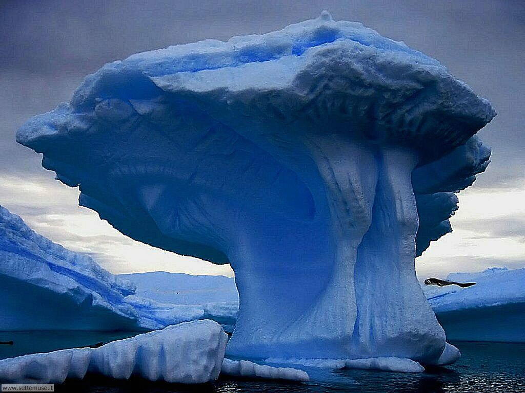 Foto desktop di ghiacci e iceberg 027