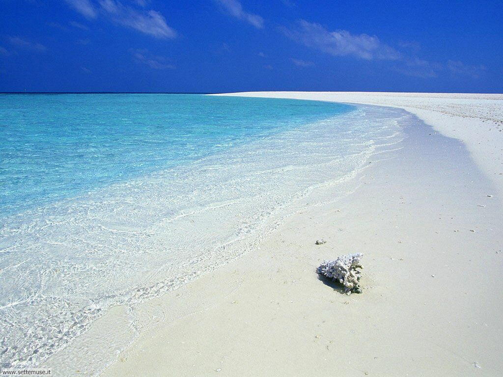 Foto desktop di spiagge da sogno 089