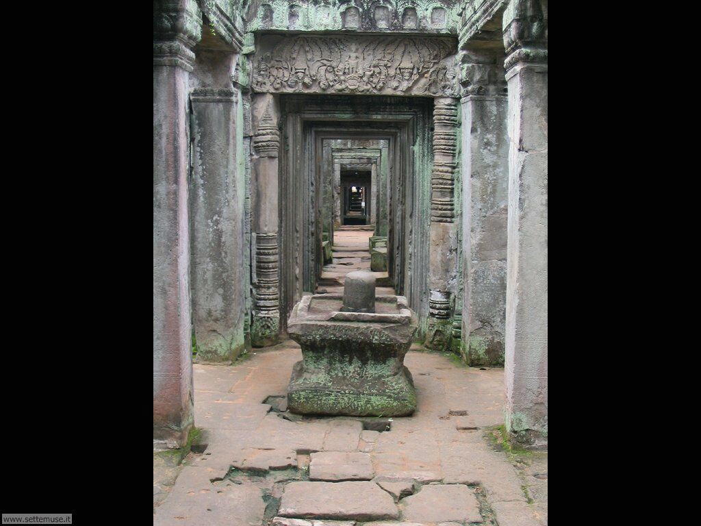 templi 16