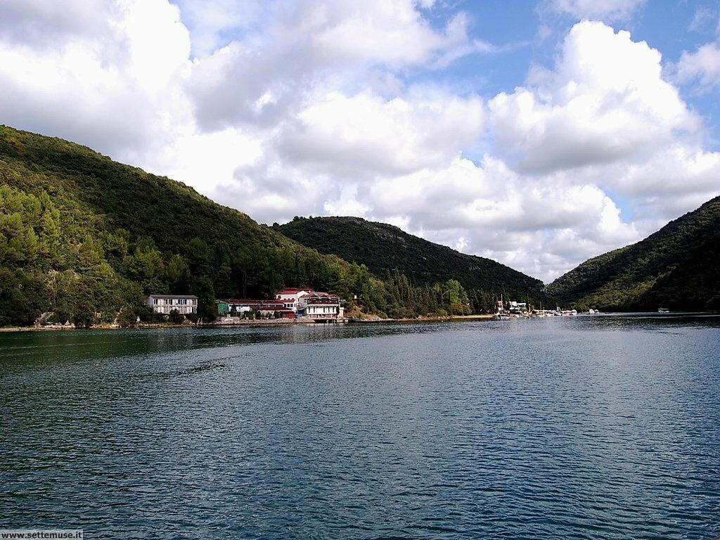 foto limfjord 079.JPG