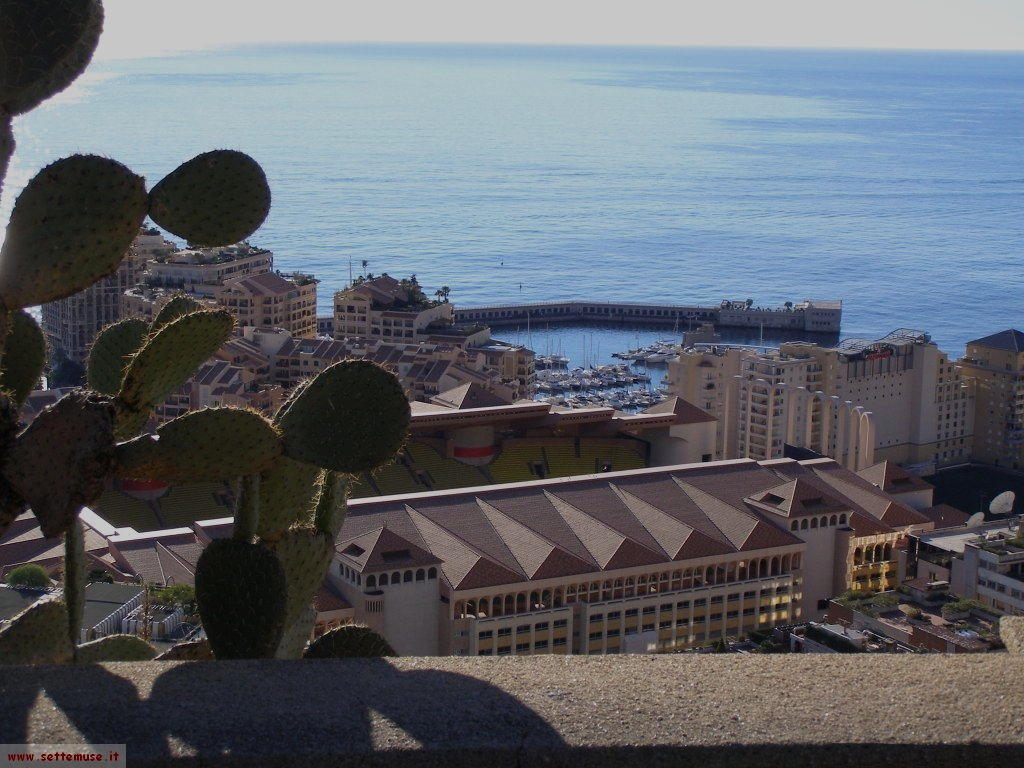 foto Monaco giardini esotici