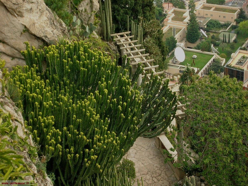 foto Monaco giardini esotici