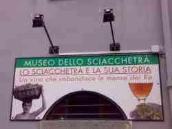 Museo Sciacchetrà