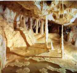 Stalattiti e stalagmiti delle Grotte di Frasassi