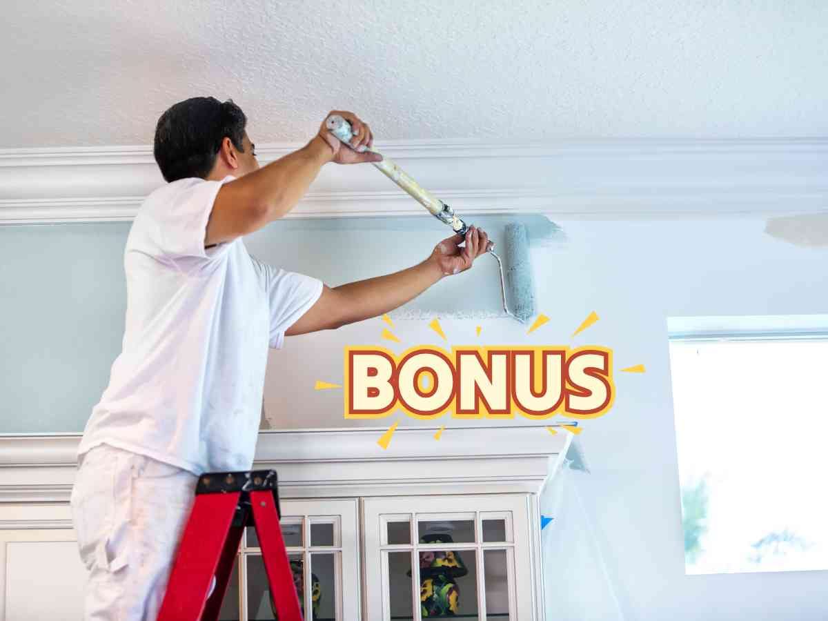 bonus tinteggiatura 50%