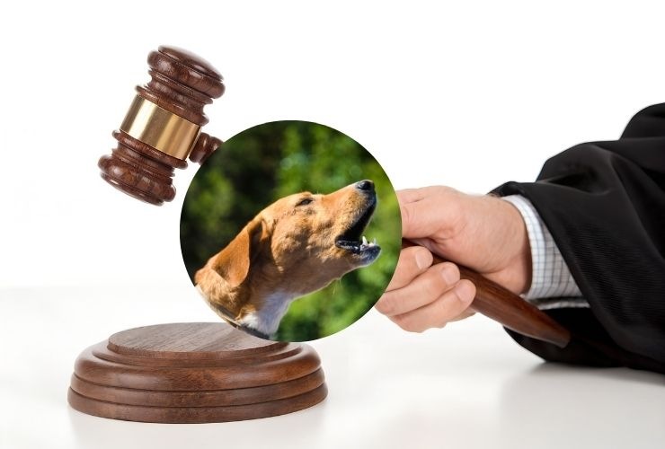 rumori molesti animali condominio