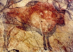 Bisonte (15.000-12.000 a.C.) Altamira, Spagna